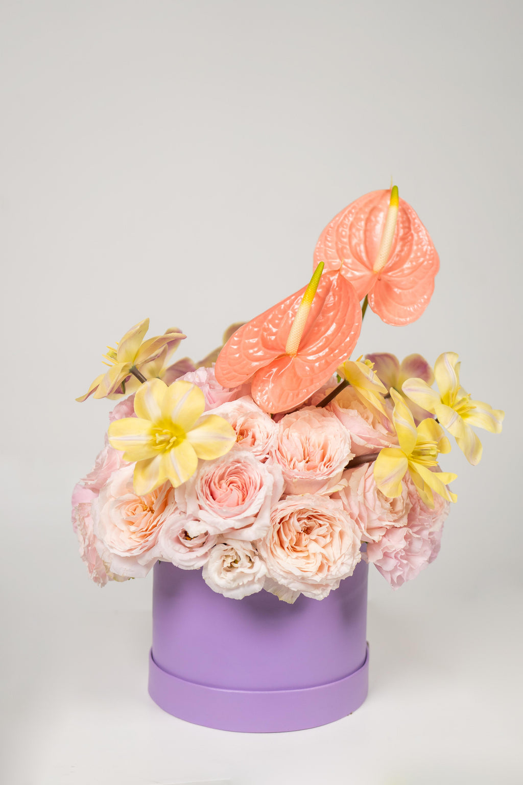 CORAL DESIRE