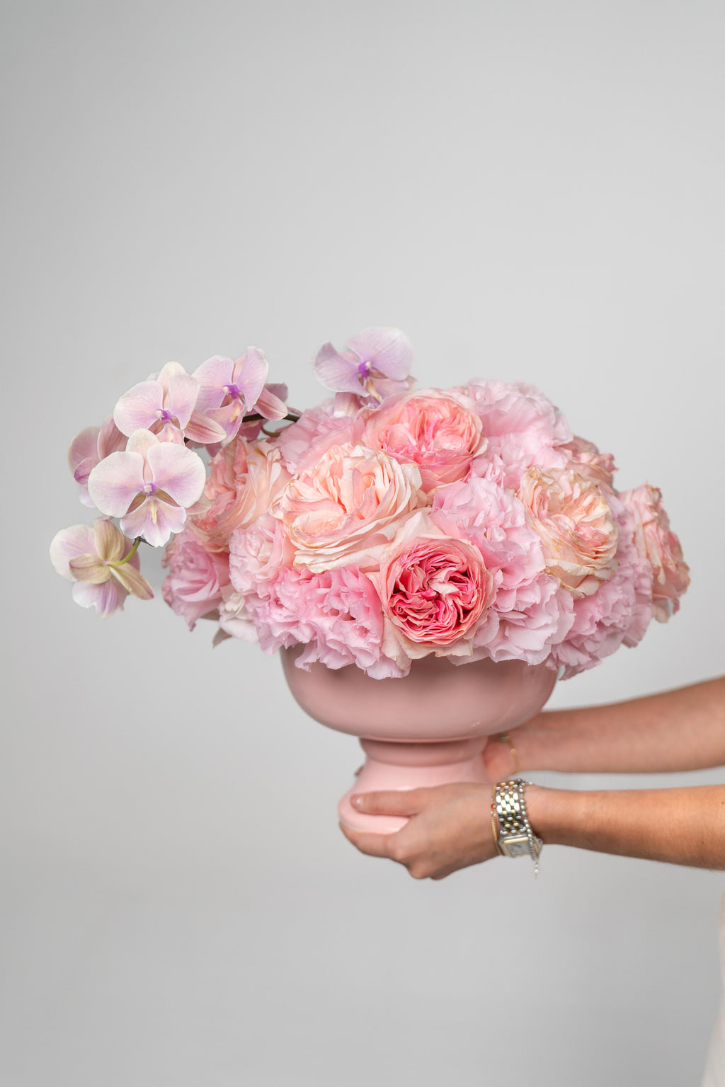 ROSE HARMONY