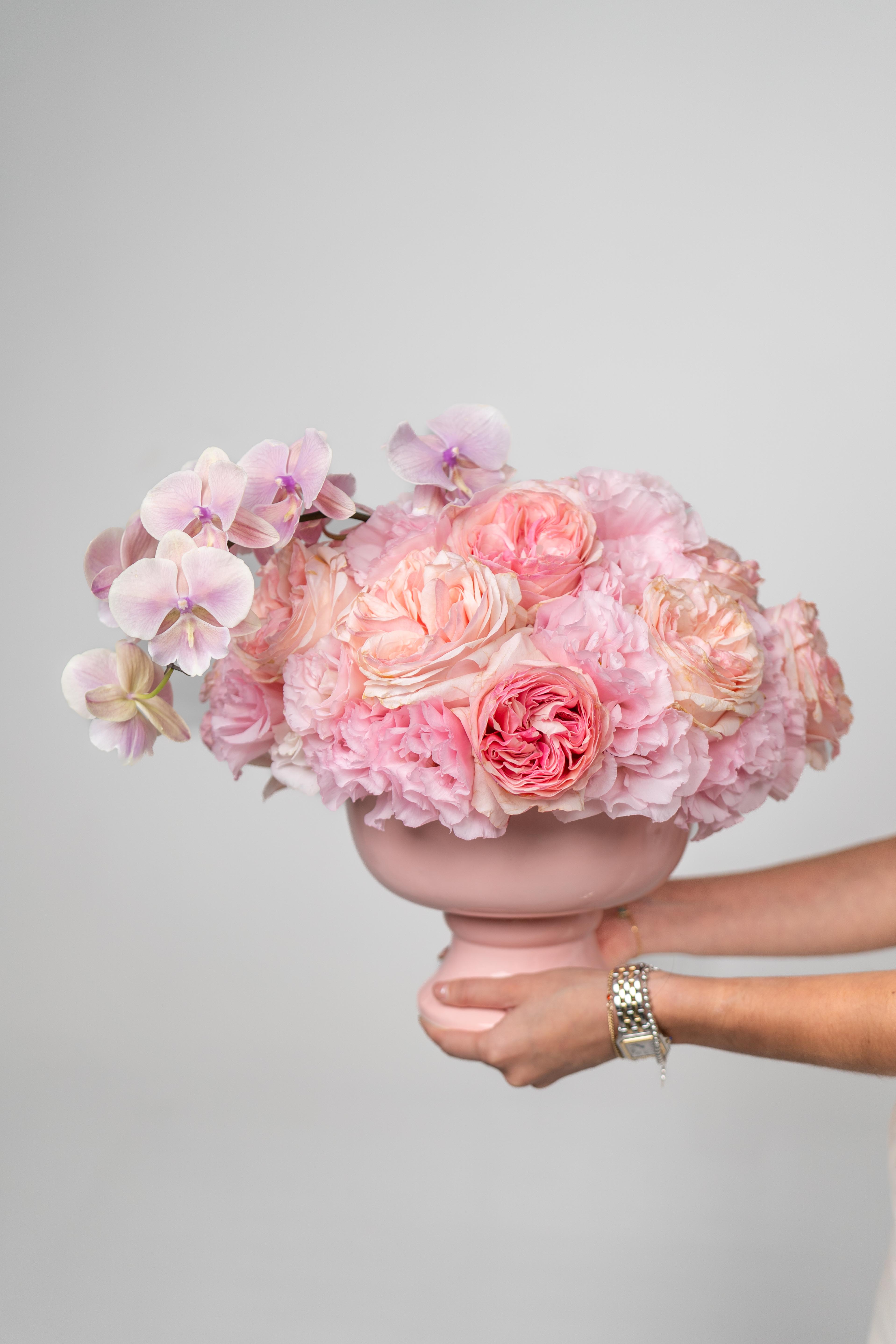 ROSE HARMONY