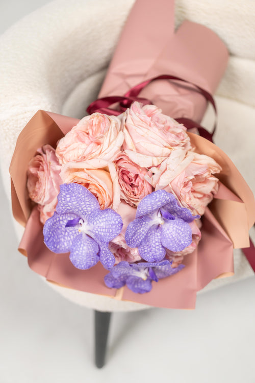 ORCHID DREAM