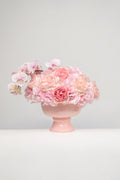 ROSE HARMONY