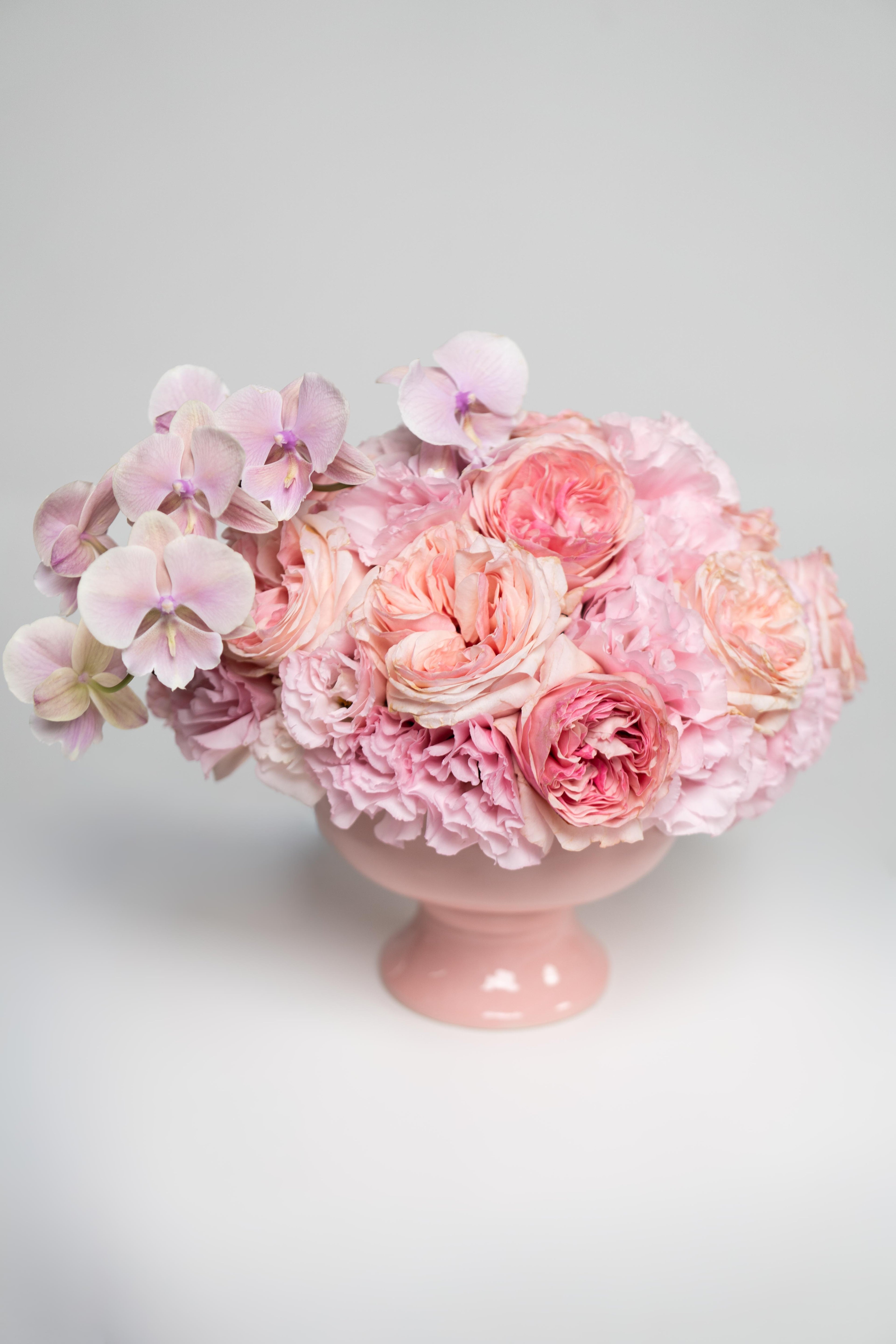 ROSE HARMONY